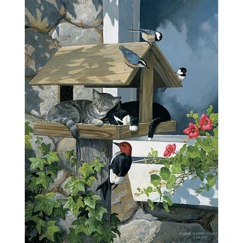 Tahquamenon Falls Autumn 500 Mi