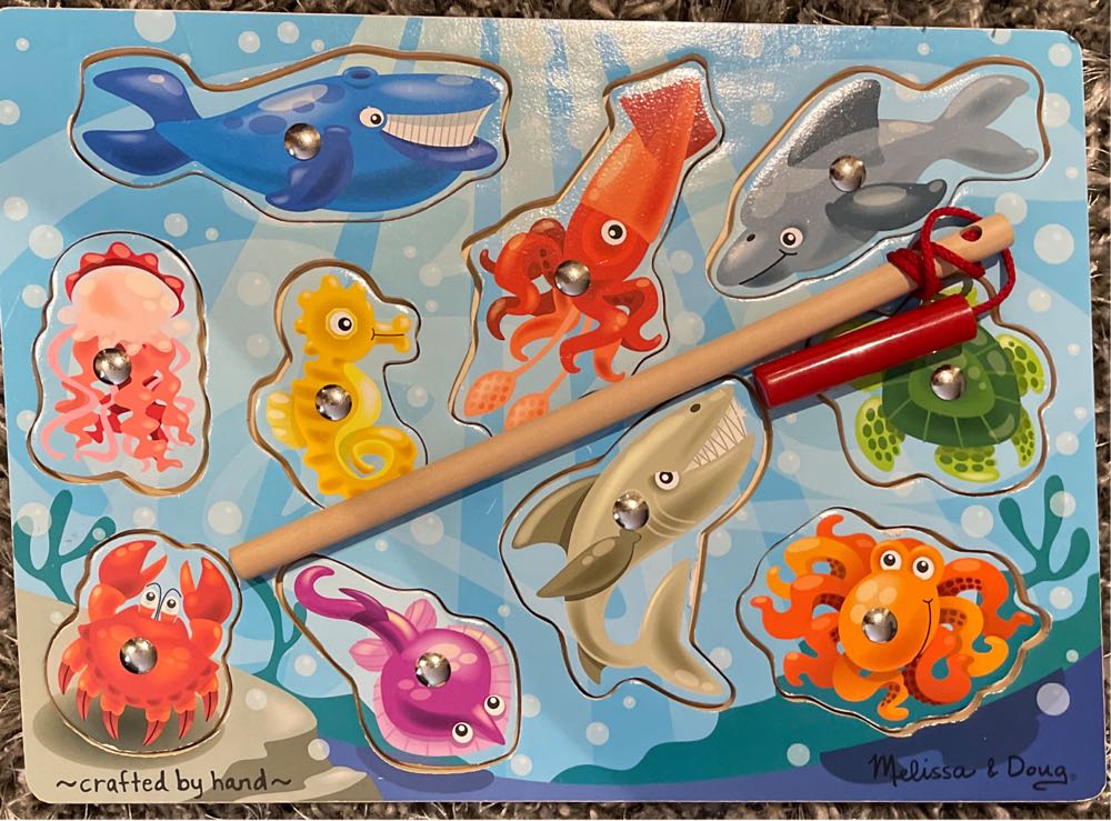 Z - Shells Of The South Atlantic Coast (Donated To LPL)