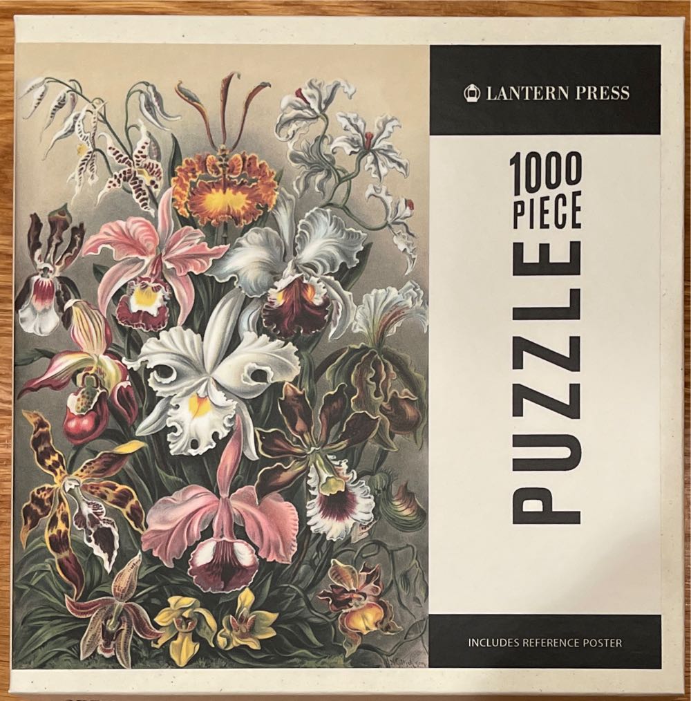 Crazy Cats …. in the Playroom