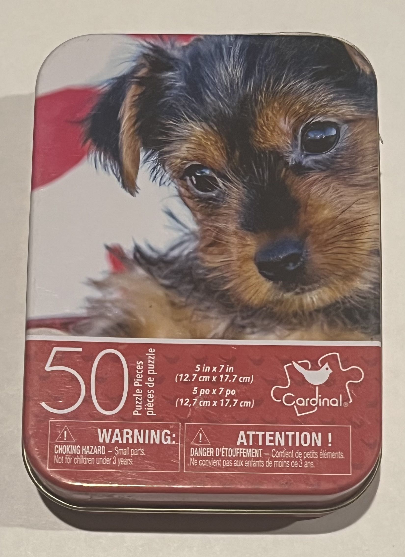 Laughing Boy With Sandwich And Puppy