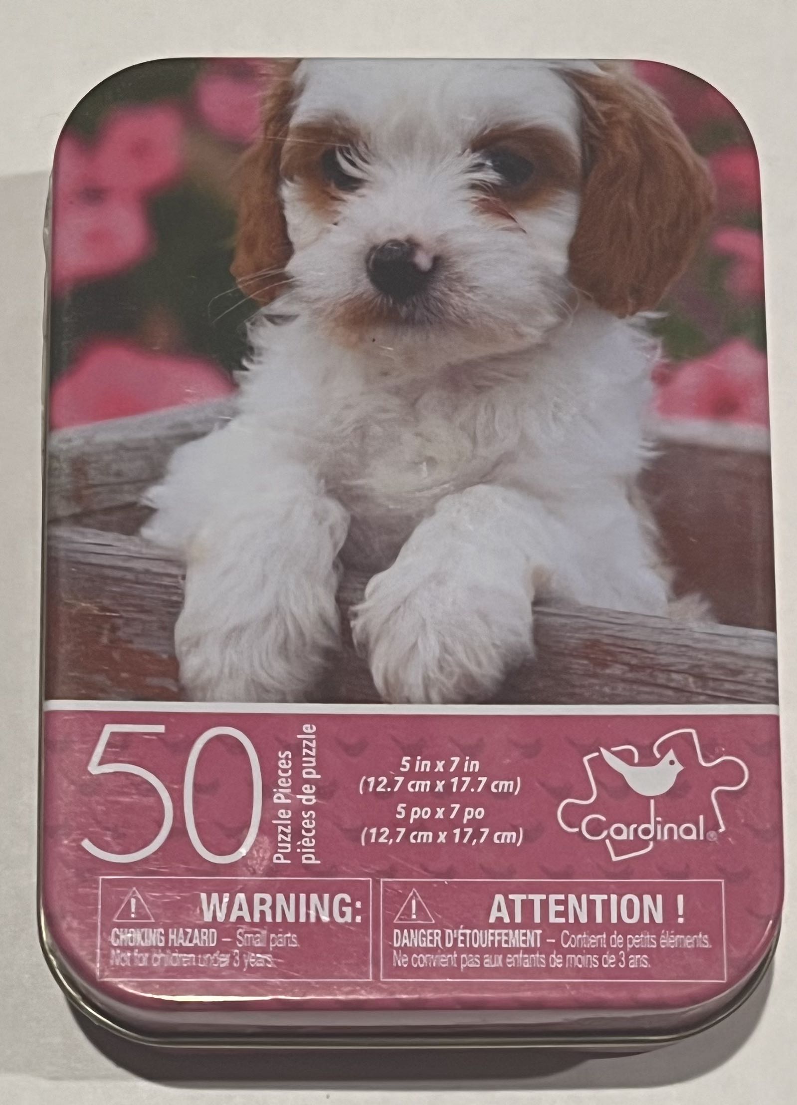 Carnival In Rio 🟦