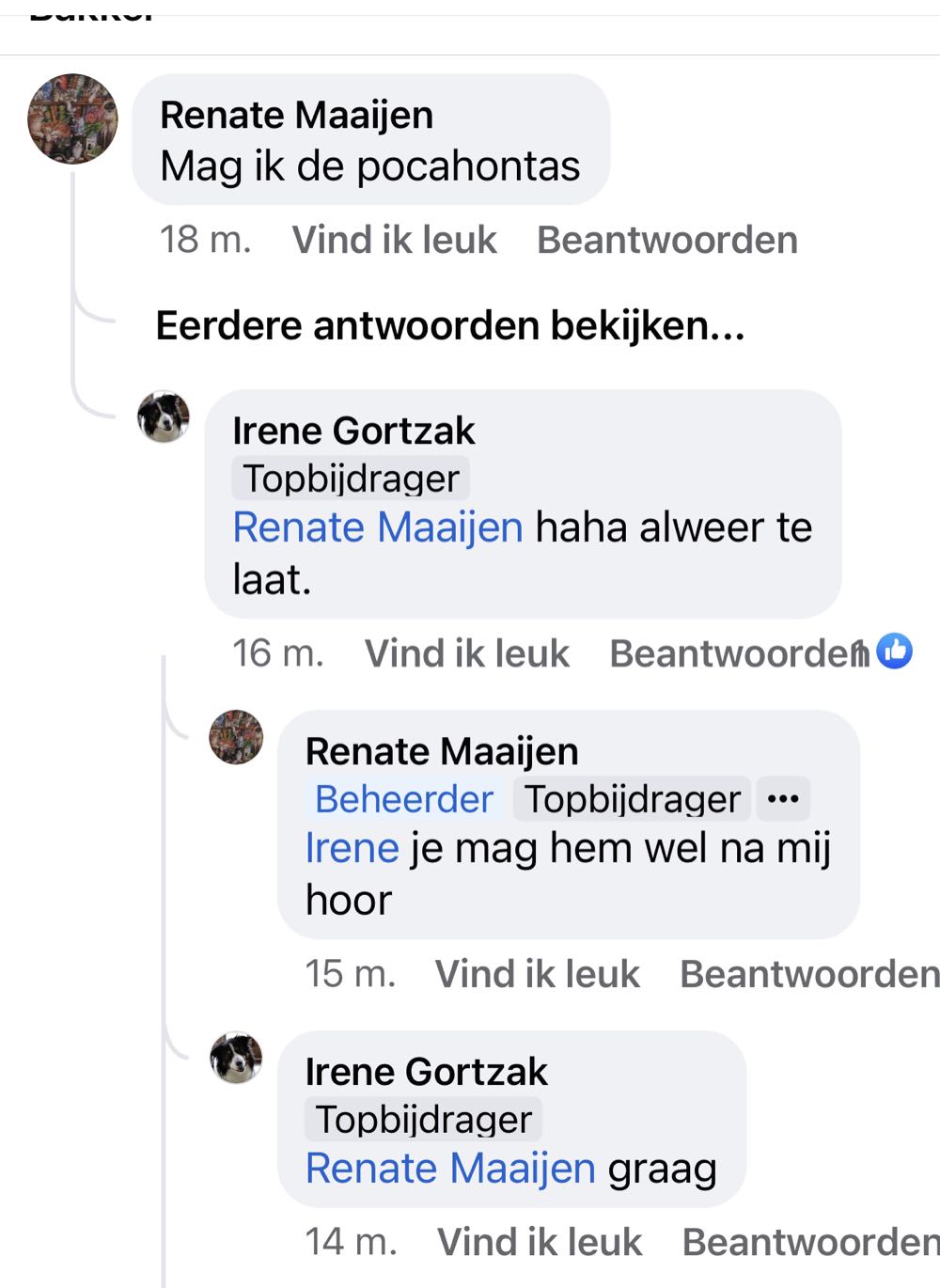 Pocahontas 🟦 - Clementoni puzzle collectible [Barcode 8005125311514] - Main Image 4