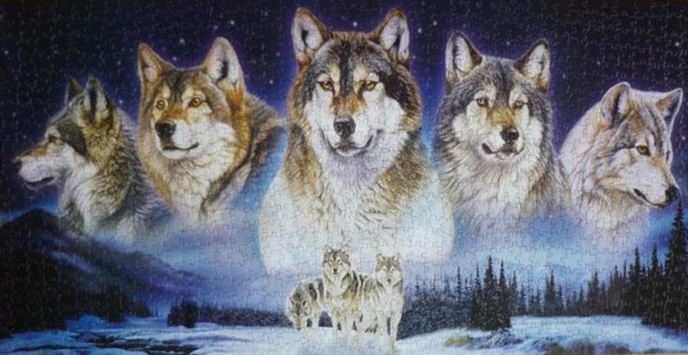 Spirits Of The Pack 🟦 - MasterPieces puzzle collectible [Barcode 705988706080] - Main Image 3