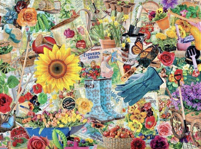 Zorro Le Combat 🟦