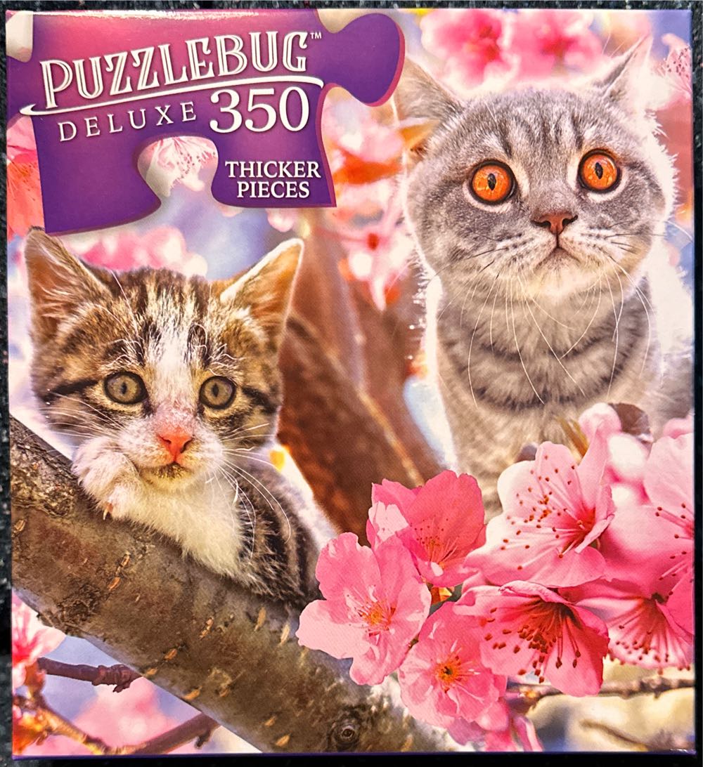 Ice Cream Cones -SOLD