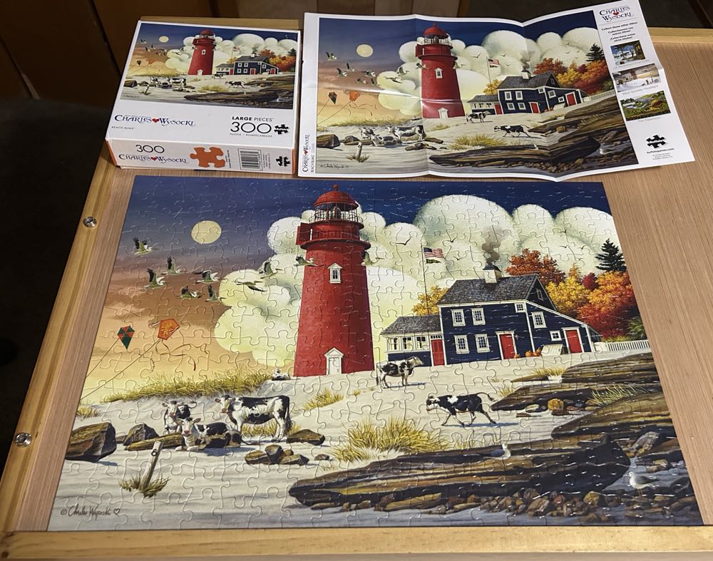 Beach Bums - Buffalo puzzle collectible [Barcode 079346226085] - Main Image 4