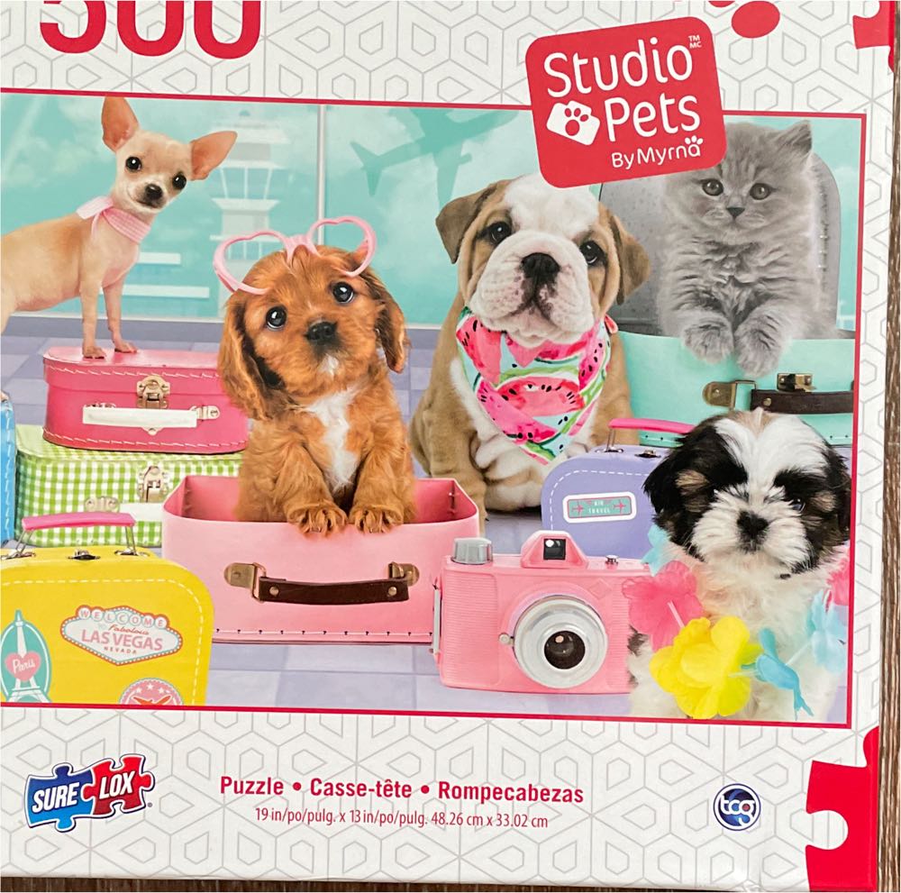 Wasgij Mystery 17. Catching A Break