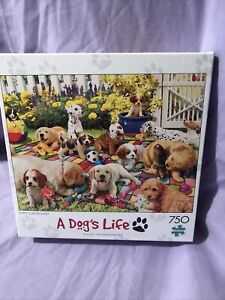 Starry Night Over The Rhône