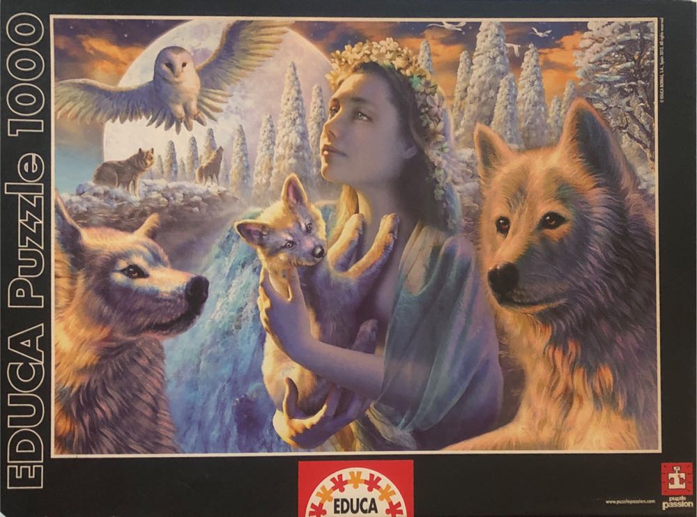 Kittens In The Garden 