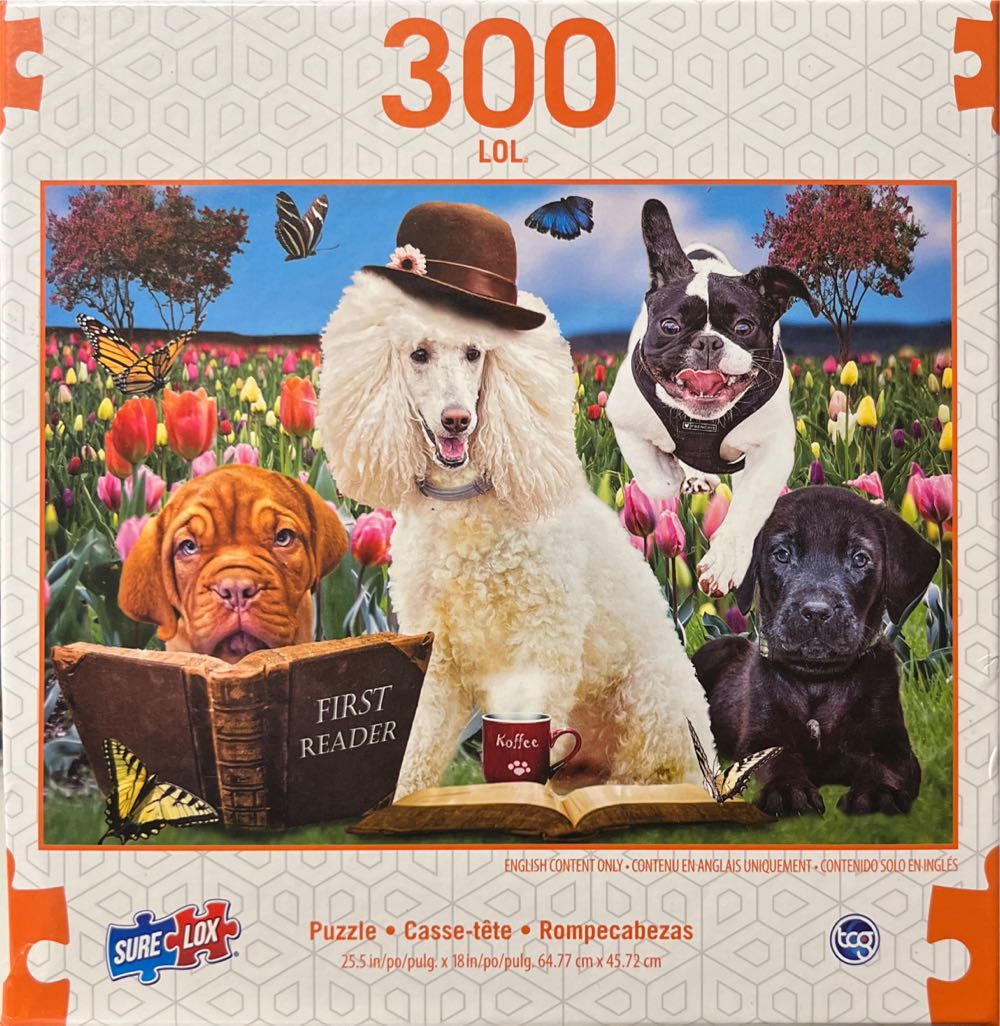 Beach Party Horses By The Ocean