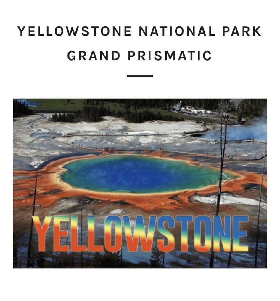 Marvel: Web Of Spider-Man