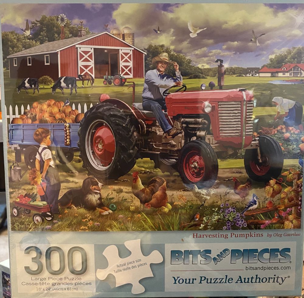 Flowered And Colorful Vases