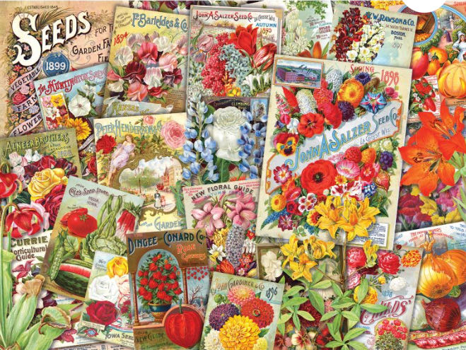 Vintage Seed Packets-Jennifer - Roseart puzzle collectible [Barcode 4895145434997] - Main Image 3
