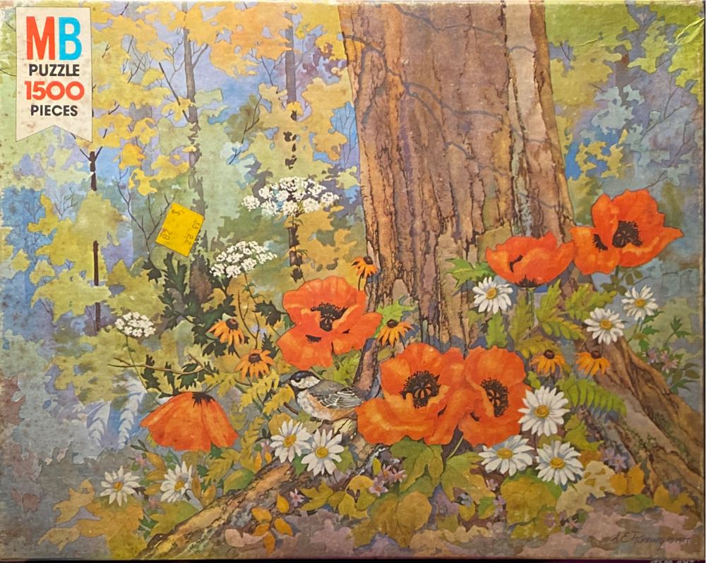 Great Outdoors: Manatee Moments