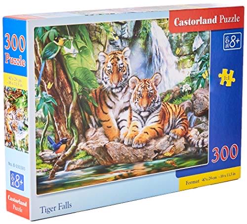 Summer Spring Winter Autumn