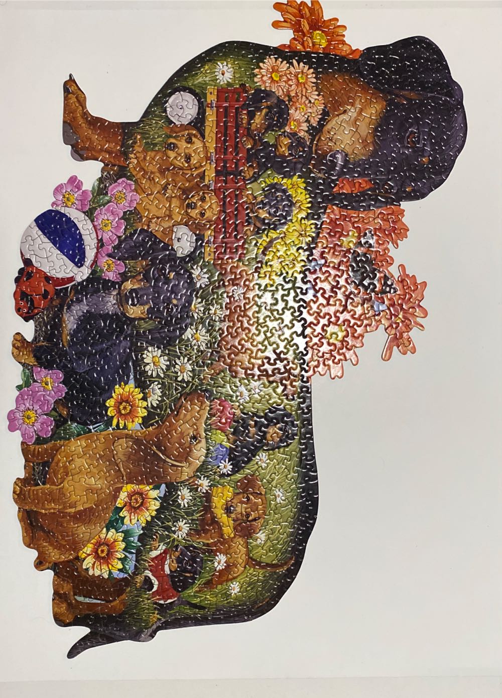 Delightful Dachshunds - Bits And Pieces puzzle collectible [Barcode 704812485146] - Main Image 2