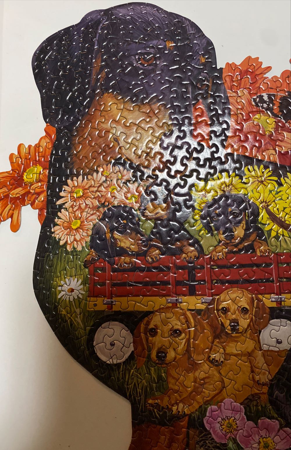 Delightful Dachshunds - Bits And Pieces puzzle collectible [Barcode 704812485146] - Main Image 3