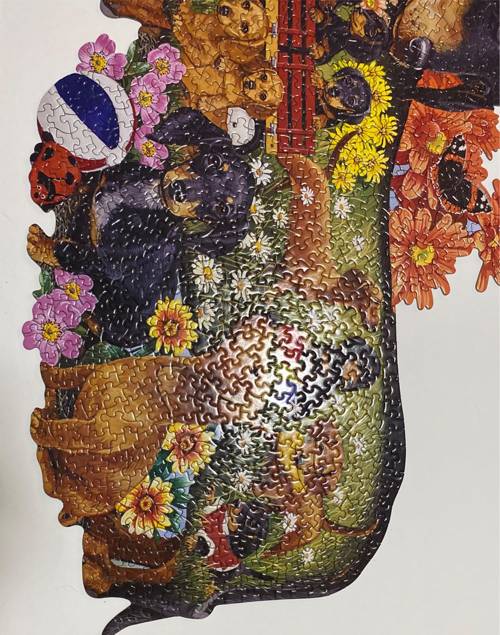 Delightful Dachshunds - Bits And Pieces puzzle collectible [Barcode 704812485146] - Main Image 4