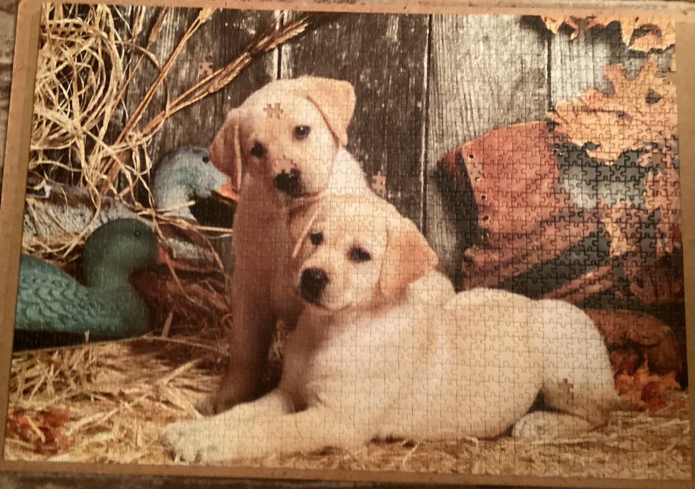 Hunting Dogs - Clementoni puzzle collectible [Barcode 8005125977857] - Main Image 2