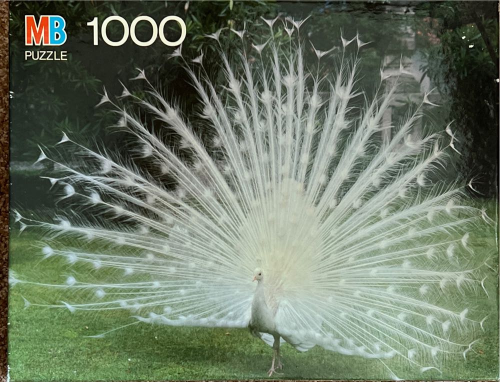 Chiesa Delia Salute Venice Italy