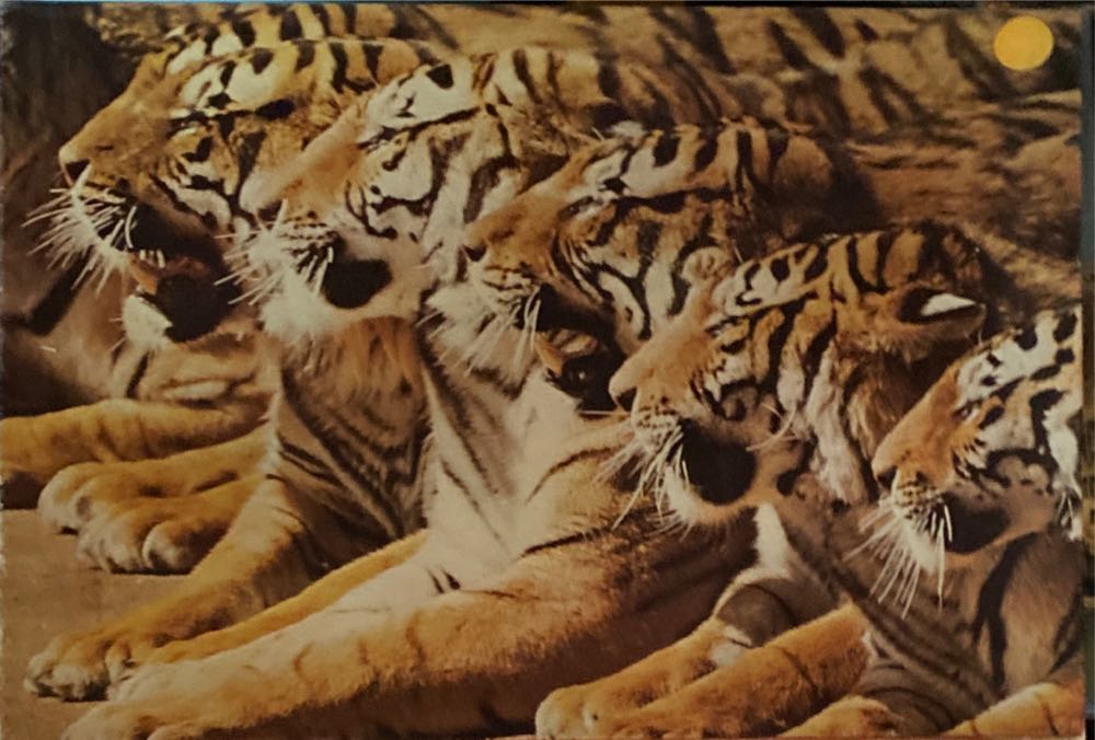 Moonlight Romance - Seth