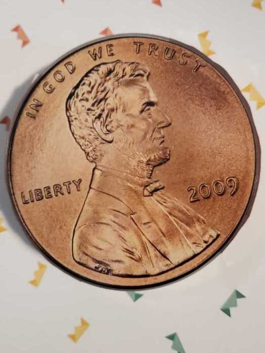 The Dogs Of New York City