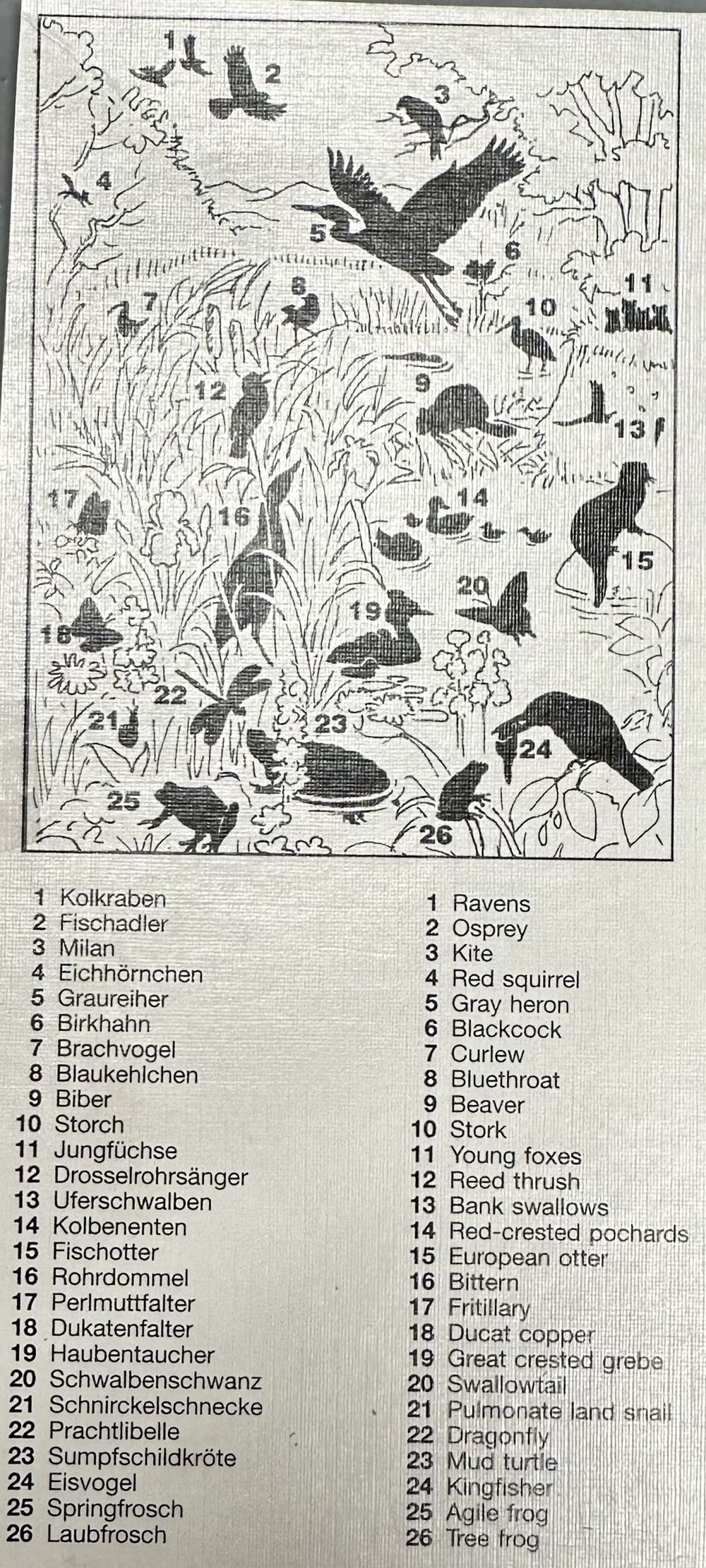 Life At The Stream # 96910.6 - F.X. Schmid puzzle collectible [Barcode 4004618969106] - Main Image 3