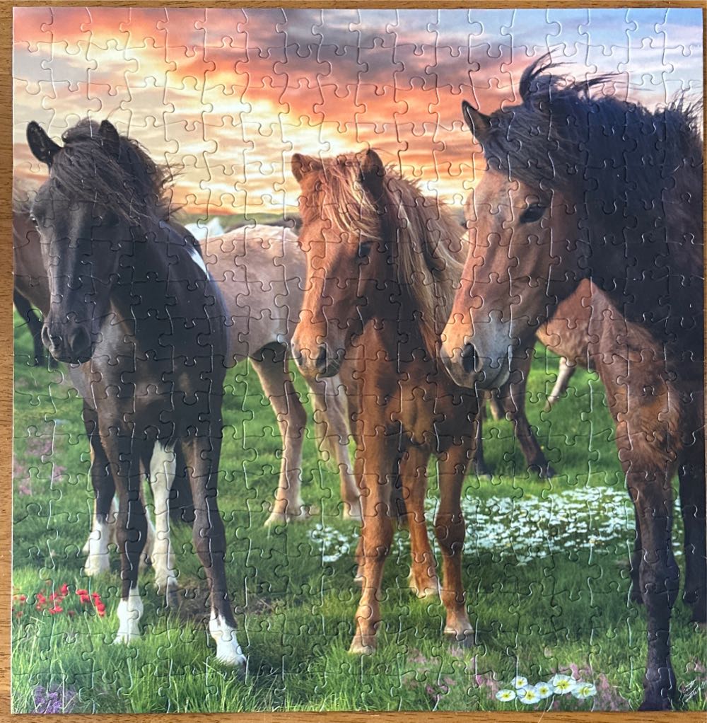 Icelandic Horses - Buffalo 🇺🇸 puzzle collectible [Barcode 079346028603] - Main Image 2