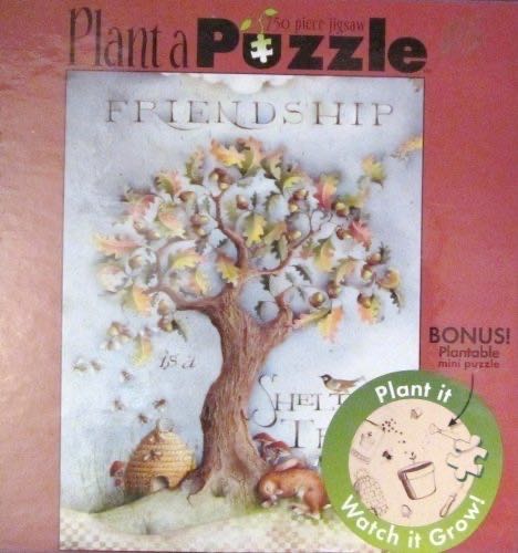 Kaitlyn Haddlesey Graphic Design