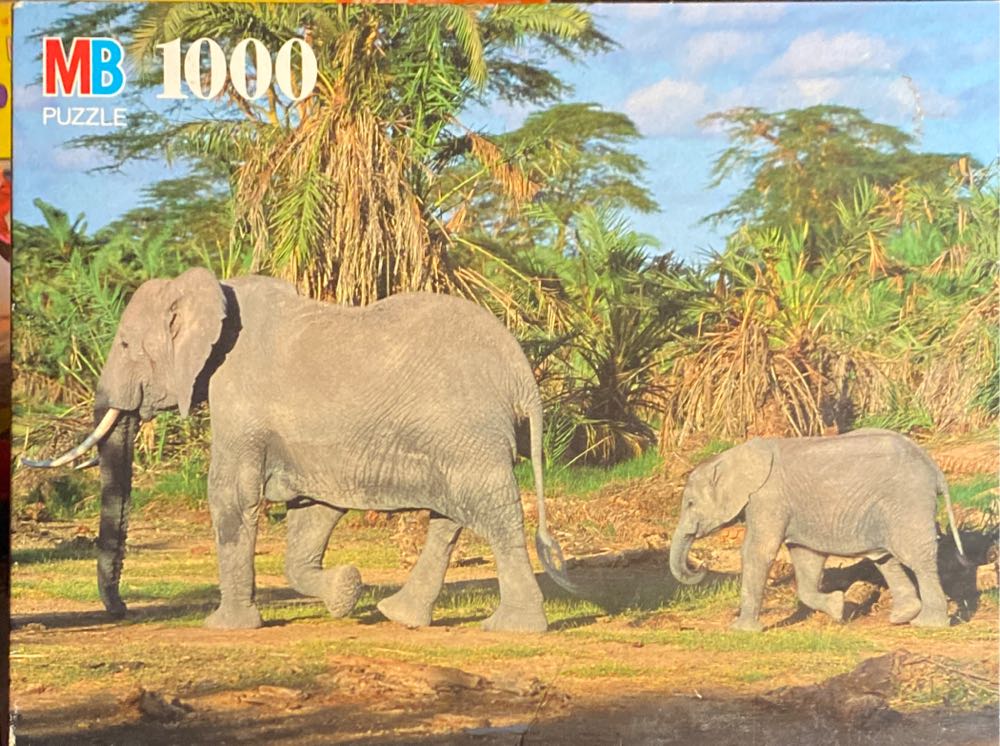 Yo Ho! Paul And Babe