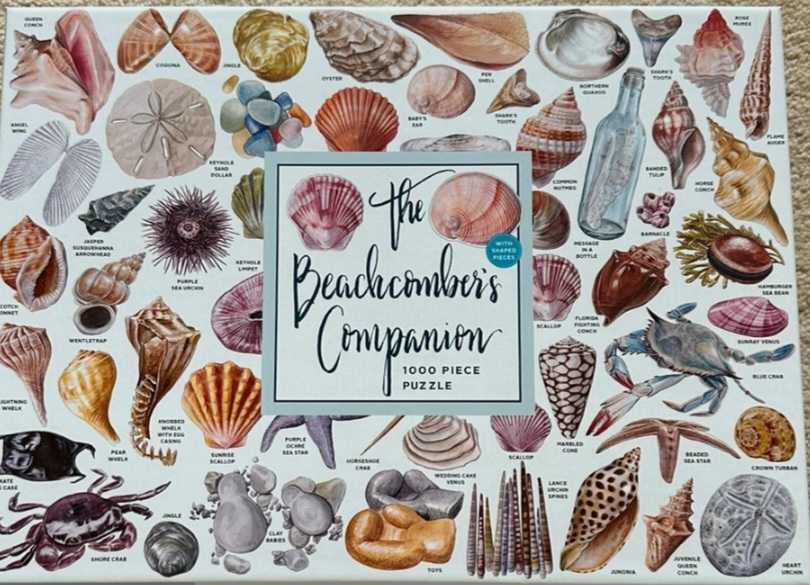 Cinderella’s Transformation