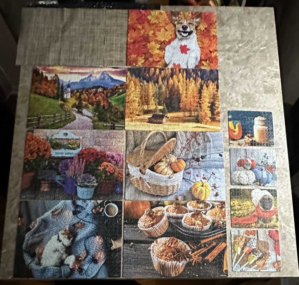 12 Puzzles Set - Cardinal puzzle collectible [Barcode 778988409275] - Main Image 2