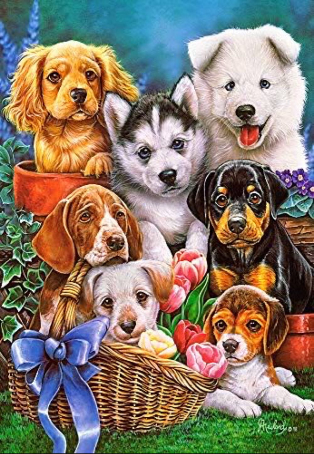 Puppies 🟦 - Castorland puzzle collectible [Barcode 5904438104048] - Main Image 2