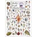 Godzilla King Of The Monsters 27” X 19” Vintage Poster 1000 Piece Release Toho One Sheet