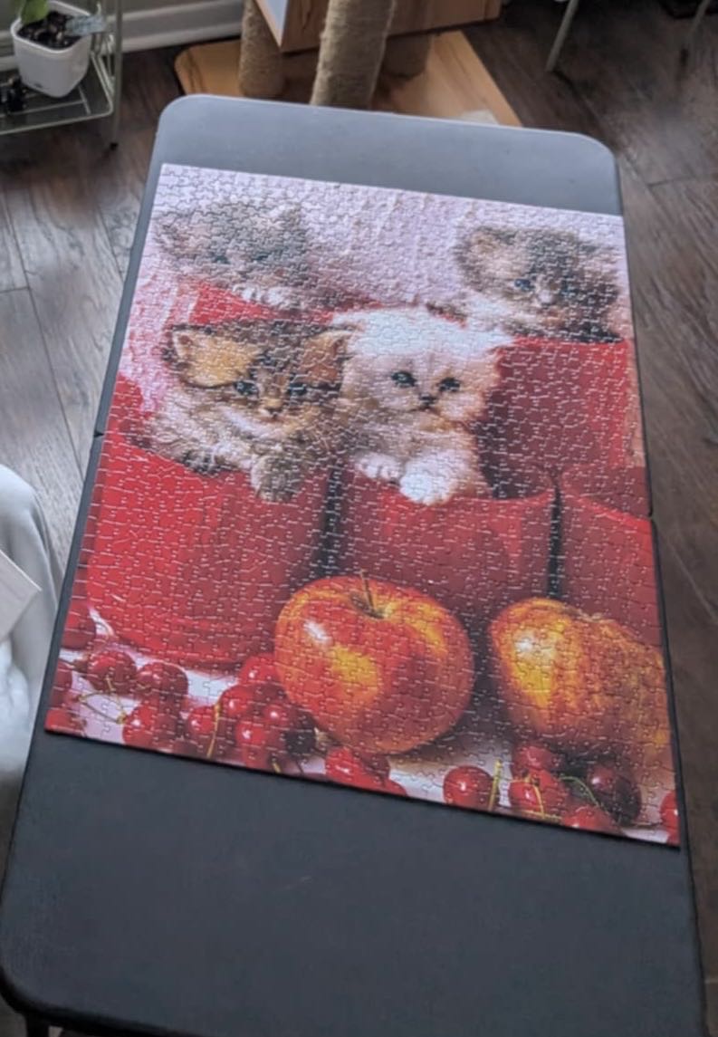 Kittens In Pots - Eurographics puzzle collectible [Barcode 628136646741] - Main Image 3