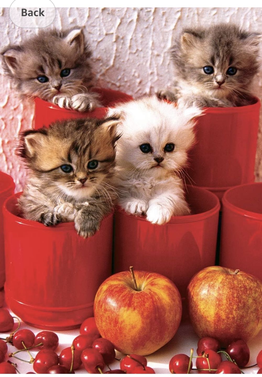 Kittens In Pots - Eurographics puzzle collectible [Barcode 628136646741] - Main Image 4