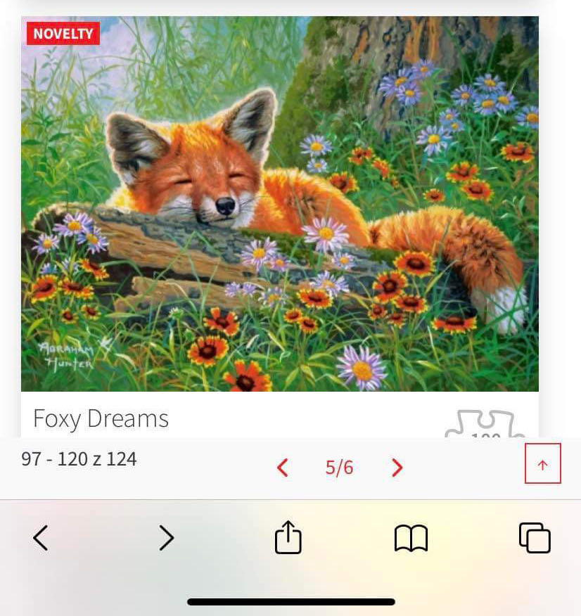 Nascar Jeff Gordon #24 Dupont 500 Piece