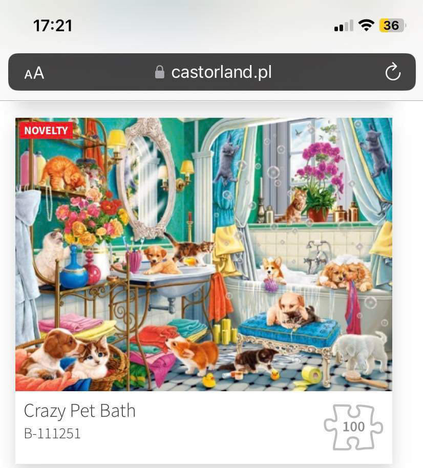 Whiskers At The Window