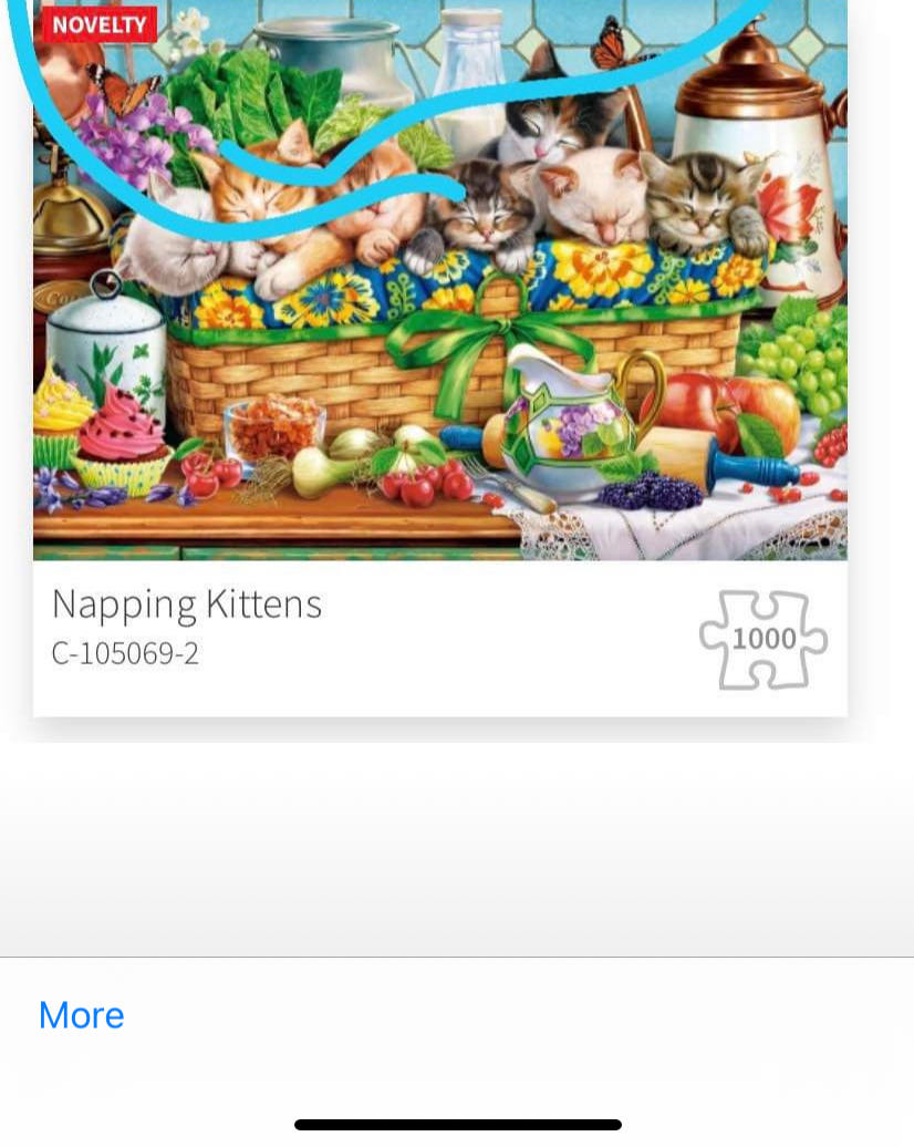 Rebel Without A Cause