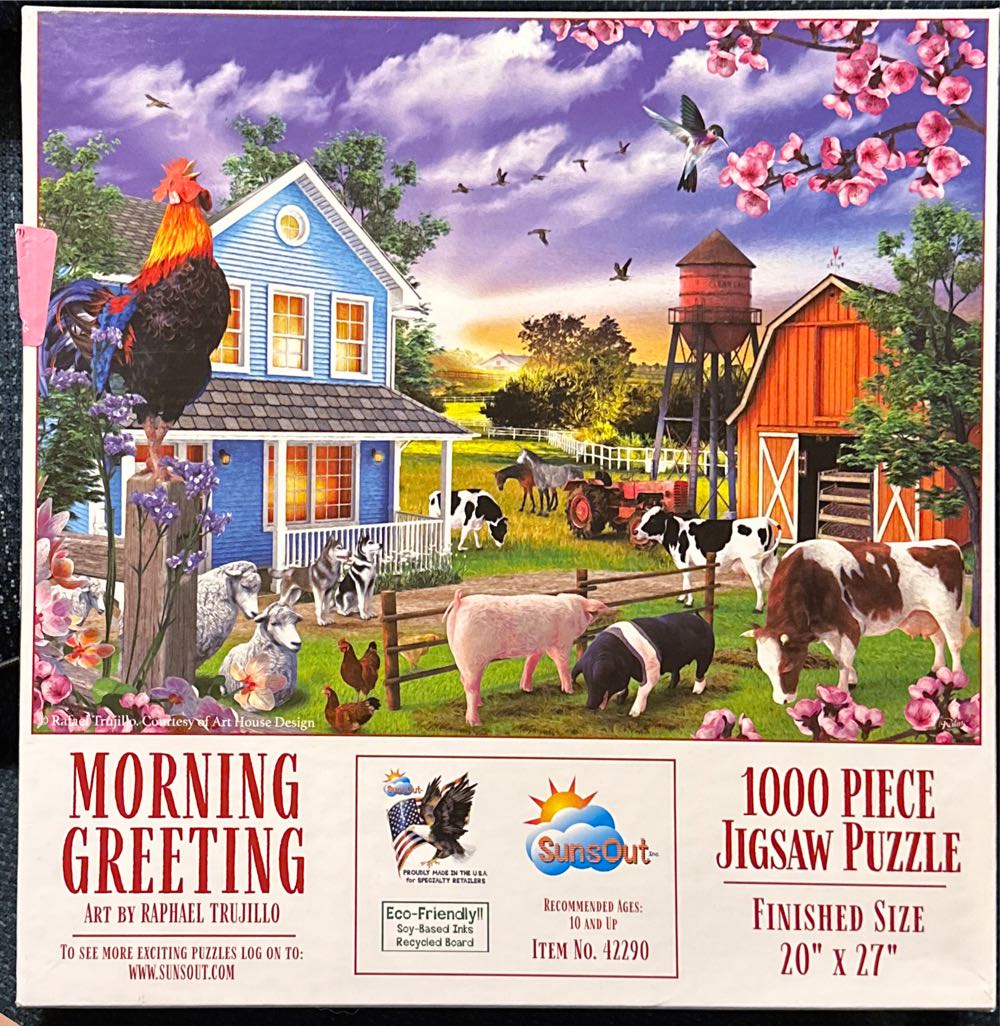 The Pirates of St. Augustine