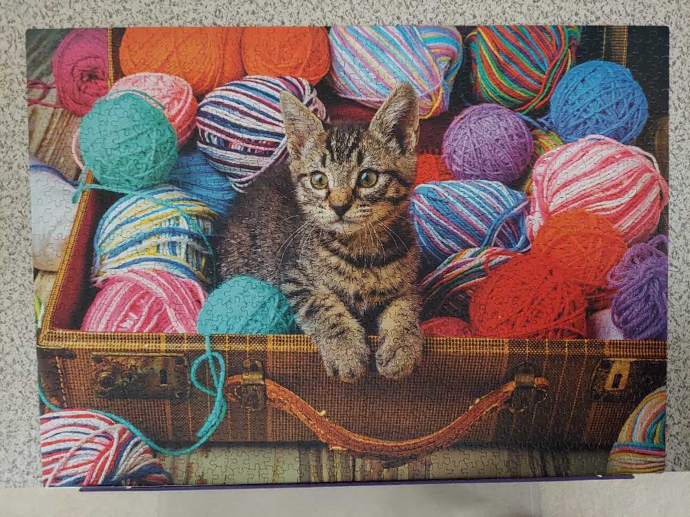 Curious Kitty Casie Shop Bins - Ceaco puzzle collectible [Barcode 021081333412] - Main Image 2