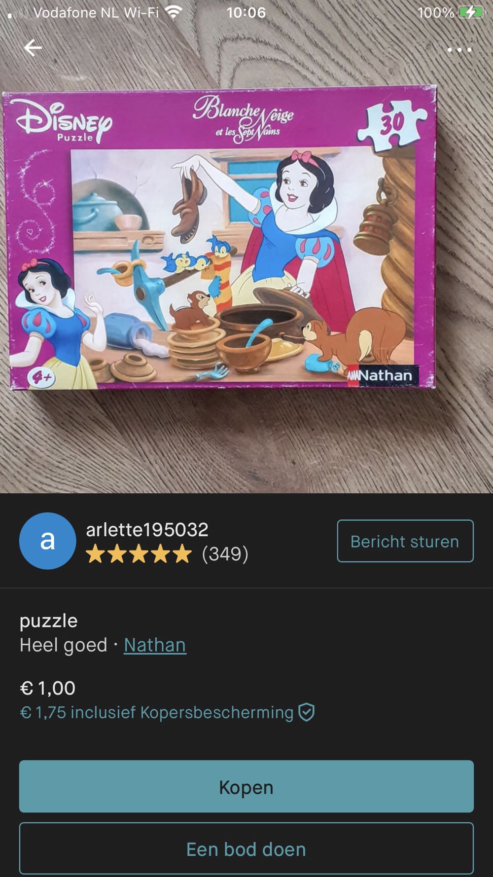 Robert Pizzo Techie Tiger: 300 Piece Puzzle Pomegranate Artpiece Puzzle