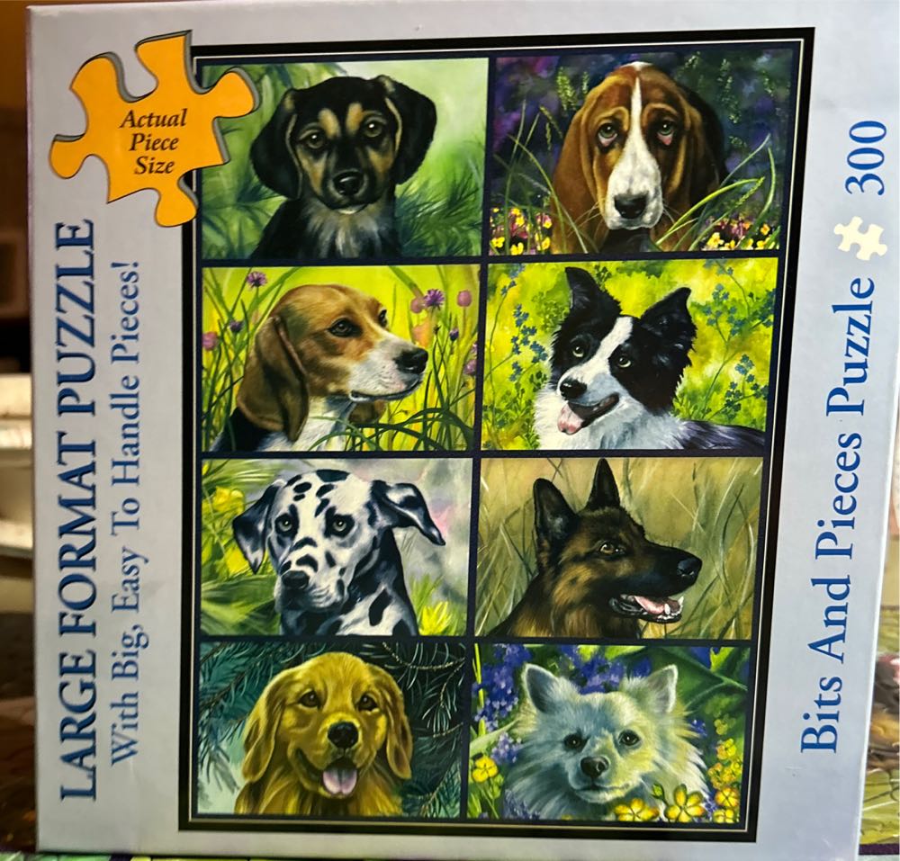 The market at Little Falls