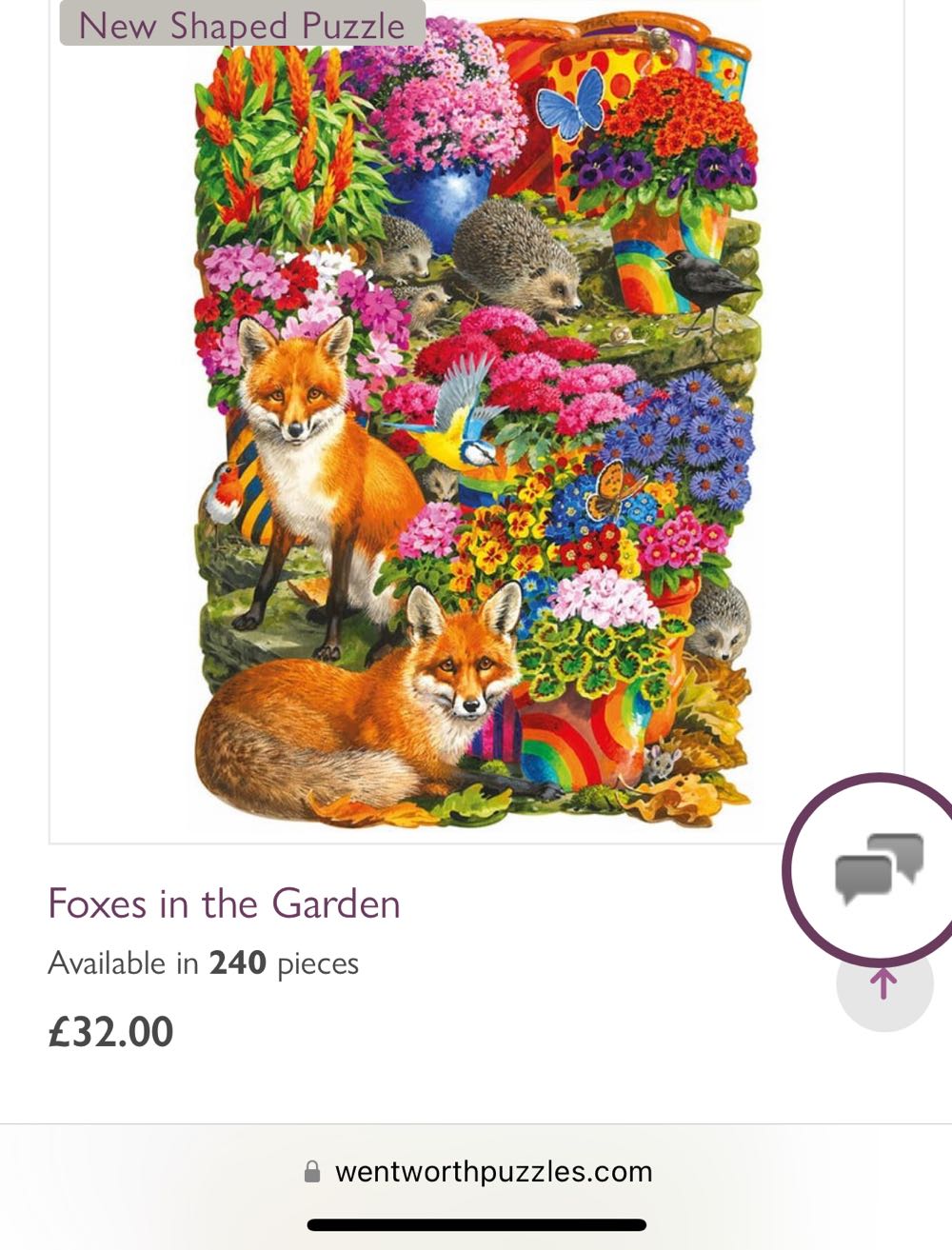 Summer In The High County