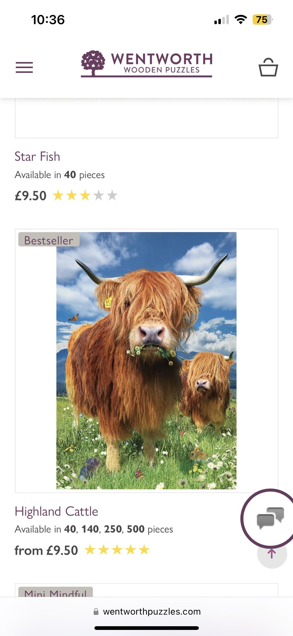 School Sports Day Linda Wilkinson 