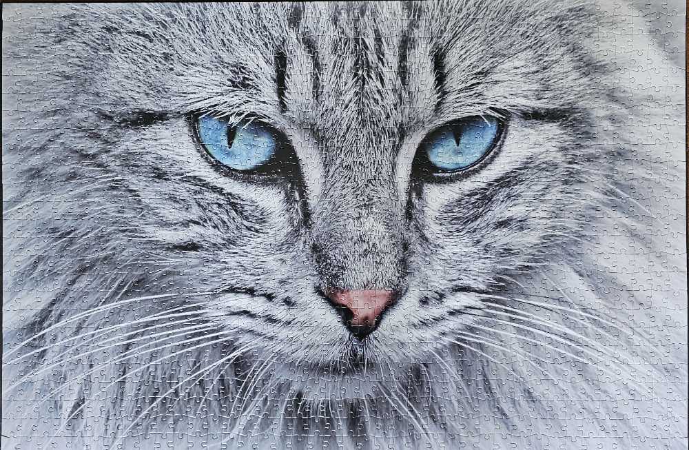 Bleue Eyes Cat - Becko US puzzle collectible - Main Image 2