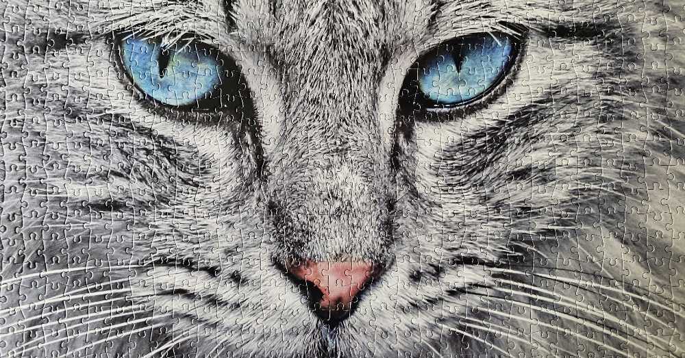 Bleue Eyes Cat - Becko US puzzle collectible - Main Image 3