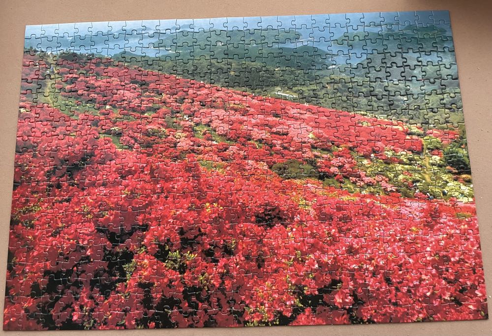 Red Hillside - Encore puzzle collectible [Barcode 060107999720] - Main Image 2
