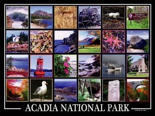 Acadia National Park ♻️ - My Fair Lobster puzzle collectible - Main Image 2