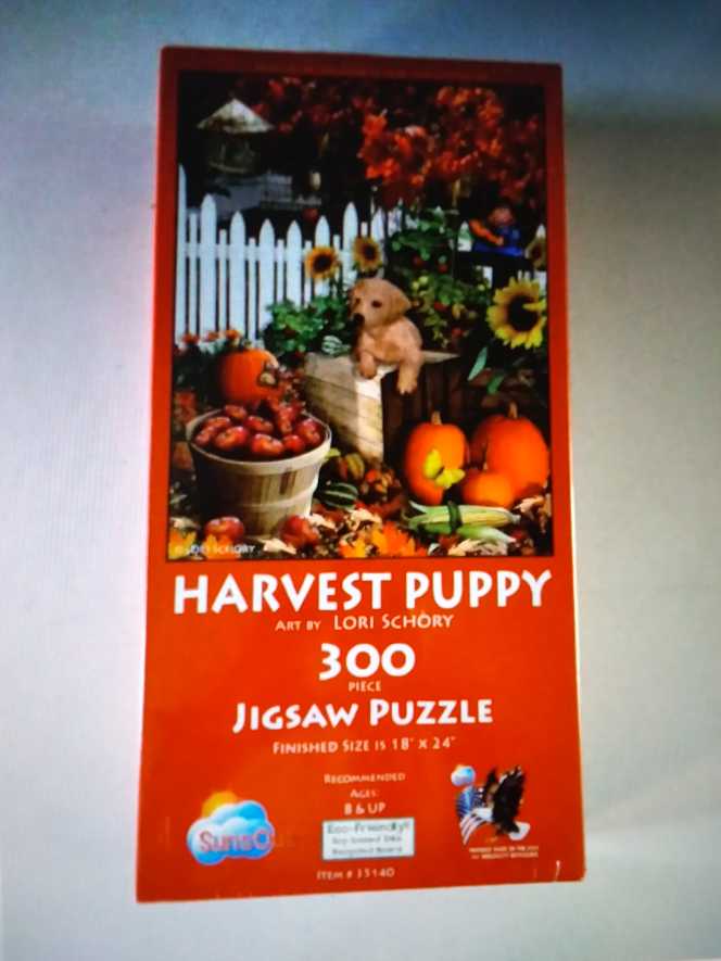 Springbok: Barnyard Animals